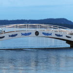 Salmon on the bridge