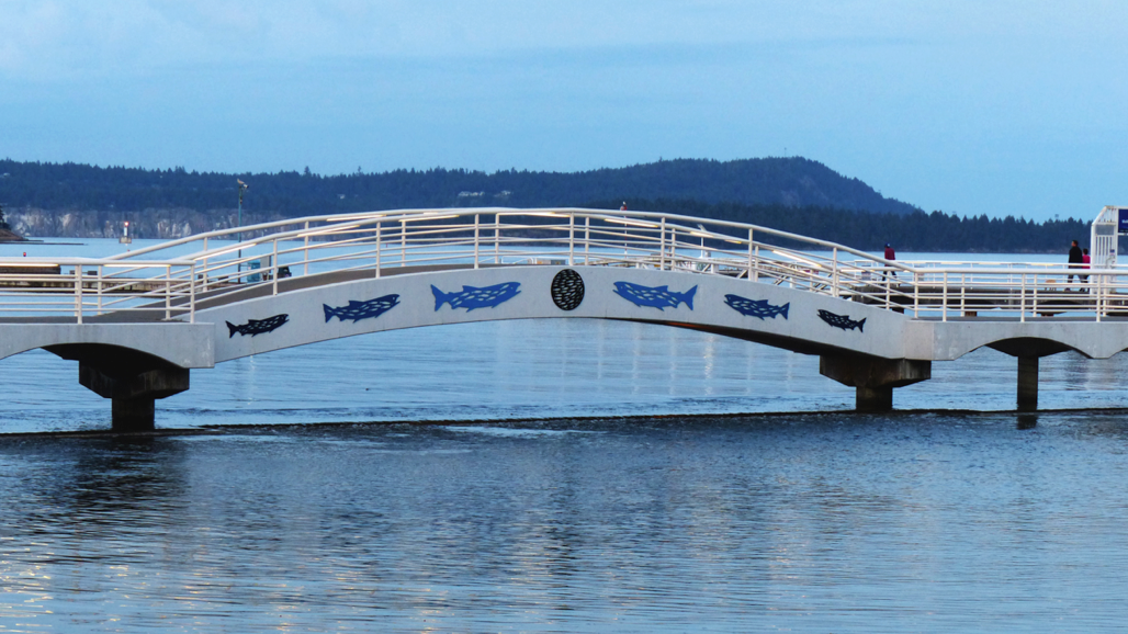 Salmon on the bridge